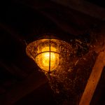 赛博平台如何改变传统行业的运营模式与用户体验 2kocgr8v6a